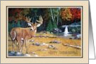 Happy Thanksgiving Deer in Nature with Fall Trees and Waterfall card