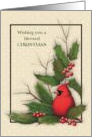 Christmas Religious Holly Leaves Twigs Berries Stars Cardinal Bird card