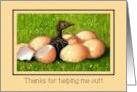 Thank You to Midwife or Doula Cute Ostrich Hatching Eggs Humor card