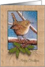 Merry Christmas Wren Bird with Snowflakes and Holly and Berries card