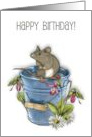 Happy Birthday General with Furry Mouse on A Blue Pail With Flowers card