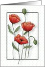 Blank Inside All Occasion with Drawing of Red Poppy Flowers and Dots card
