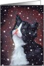 Any Occasion Blank Inside Black and White Kitten Looking At Snow card
