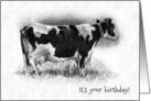 Birthday Humor Milk It For All It’s Worth with Drawing of Dairy Cow card