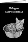 Happy Birthday General With Kitten in Kitchen Bowl Hope It’s Purrfect card