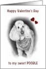 Happy Valentine’s Day to My Poodle with Drawing of Dog with Bandana card
