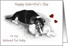 Happy Valentine’s Day to My Fur Baby with Drawing of Dog and Toy card