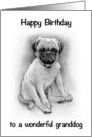Happy Birthday to To Wonderful Granddog With Pug Dog Drawing card