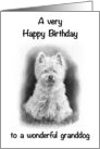 Happy Birthday to To Wonderful Granddog Scottish Terrier Westie card