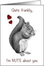 Happy Valentine’s Day with Squirrel Quite Frankly I’m Nuts About You card
