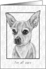 Thinking of You During COVID With Big Eared Chihuahua I’m All Ears card