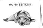 Belated Birthday with Lazy Cocker Spaniel Lying Under Blanket Drawing card