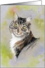 Any Occasion Blank Inside with Drawing of Green Eyed Cat Kitten card