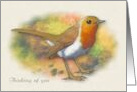 Thinking of You General with English Robin Wildlife Bird Art card