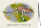 Congratulations on New Job Leaping Ahead with Kangaroo Jumping card