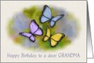 Happy Birthday to a Dear Grandma with Artwork of Butterflies card