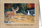 Happy Birthday To Estranged Son with Painting of Deer in the Woods card