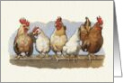 Any Occasion Blank Inside with Painting of Chickens and Roosters card