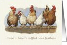 Belated Birthday Humor Chickens Hope I Didn’t Ruffle Your Feathers card