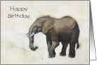 Happy Birthday General Elephant Painting Hope It’s A Ton of Fun card