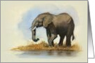Any Occasion Blank Inside with Painting of Lone Elephant card