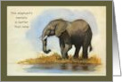 Belated Happy Birthday Elephant Memory Better Than Mine card