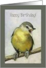 Happy Birthday General with Painting of Vireo Bird Wildlife Art card