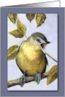 Any Occasion Blank Inside Painting of Bird Vireo Wildlife Art card