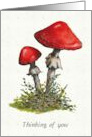 Thinking of You General with Watercolor Painting Toadstools Mushrooms card