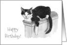General Birthday You Are the Cat’s Meow with Drawing of Lounging Cat card