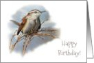 General Birthday with Bird Caroline Wren in Pastel Illustration card