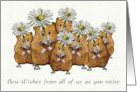 Happy Retirement From All Of Us with Group of Cute Hamsters Daisies card