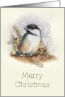Merry Christmas General with Watercolor Art of Chickadee in Snow card