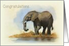 General Congratulations with Elephant Painting Enormous Accomplishment card