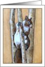 Any Occasion Blank Inside with Painting of Squirrel in Tree card