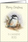 Merry Christmas to a Wonderful Boss with Chickadee and Berries card