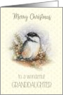 Merry Christmas to Wonderful Granddaughter with Chickadee and Berries card