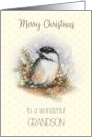 Merry Christmas to Wonderful Grandson with Chickadee and Berries card