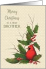 Merry Christmas to a Dear Brother with Red Cardinal and Holly Leaves card