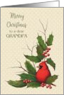 Merry Christmas to a Dear Grandpa with Red Cardinal and Holly Leaves card