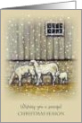 General Christmas Greetings Sheep Standing in Snow Peaceful Season card