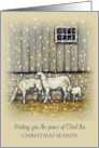 Religious Christmas Greetings Sheep Standing in Snow Peace of Christ card