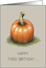 Happy Third Birthday to Cute Little Pumpkin Turning Three Illustration card