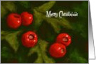 Merry Christmas for Anyone with Hawthorn Berries Illustration card
