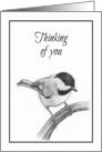 General Thinking of You With Pencil Drawing of Chickadee Bird card