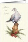 Christmas Religious with Dove and Pine Branches and Berries Art card