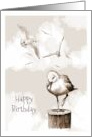 Happy Birthday General with Sepia Artwork of Seagulls and Clouds card