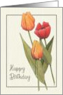 General Happy Birthday With Three Tulips Floral Art card