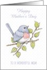 Happy Mother’s Day to Wonderful Mom with Cute Chubby Bluebird card
