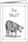 Birthday Card Humor Getting Older Looking Younger with Cow Theme card
